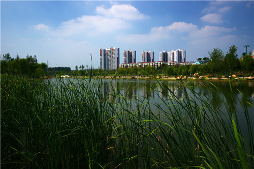 河南工程監(jiān)理公司 河南工程監(jiān)理公司